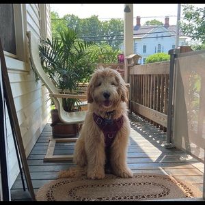 Meet your Posher, Angela